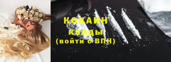 кокс Алексин