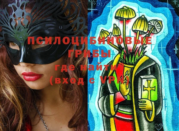кокс Алексин