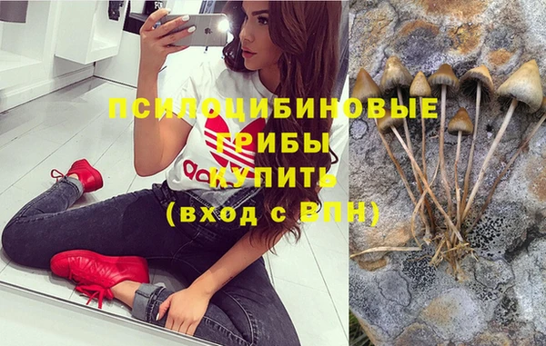 гидропоника Ступино