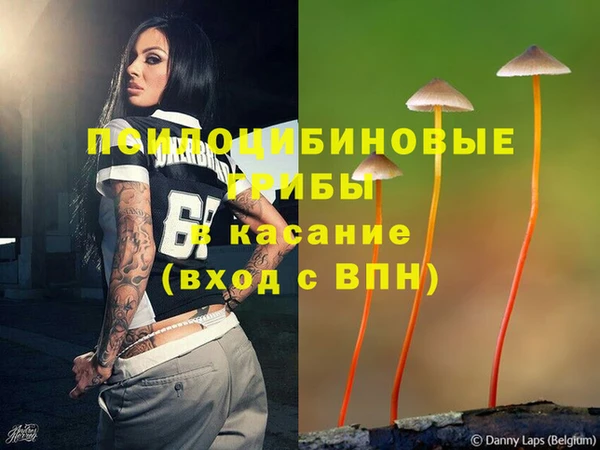 кокс Алексин