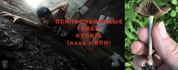 гашик Абдулино